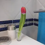 Skiljan *
