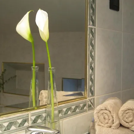 Skiljan * ツリクヴェニツァ